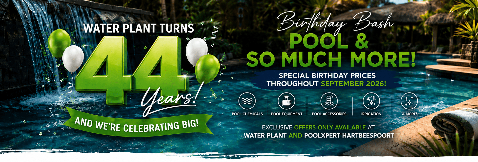 Birthday Bash Water Plant